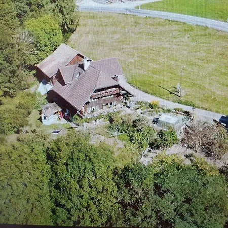 Bright, Sunny On The Farm