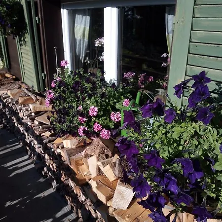 Bright, Sunny On The Farm Apartment *