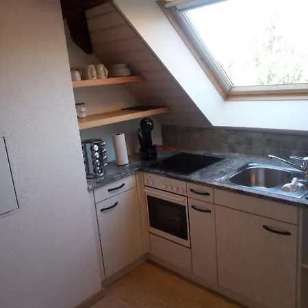 Daire Bright, Sunny On The Farm