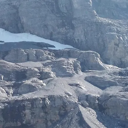 Bright, Sunny On The Farm