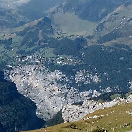 Bright, Sunny On The Farm Apartment