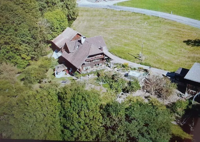 Bright, Sunny On The Farm