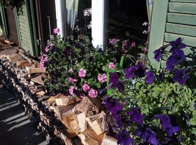 Bright, Sunny On The Farm Lejlighed *