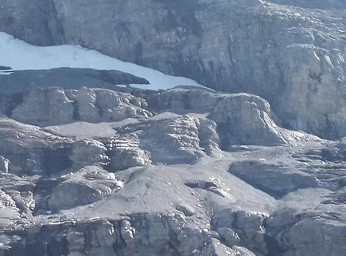 Bright, Sunny On The Farm