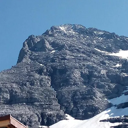 公寓 Bright, Sunny On The Farm