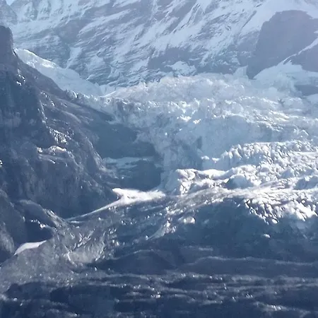 Bright, Sunny On The Farm *