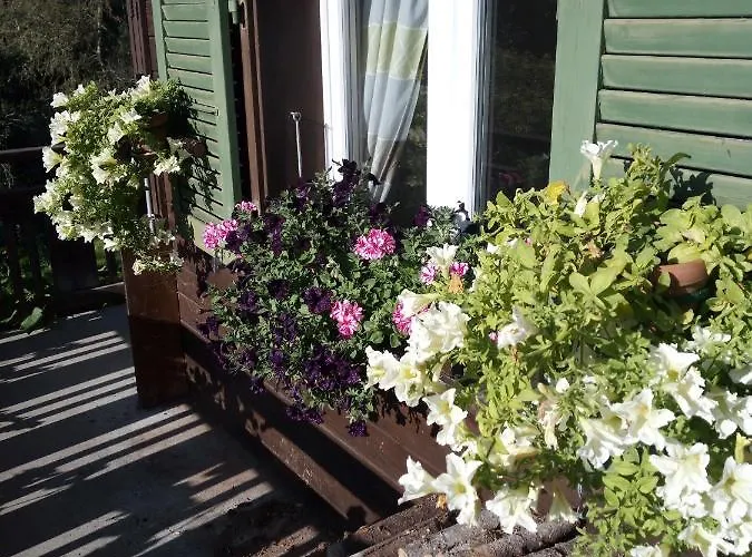 Bright, Sunny On The Farm Apartamento